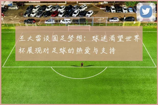 王大雷谈国足梦想：球迷渴望世界杯展现对足球的热爱与支持