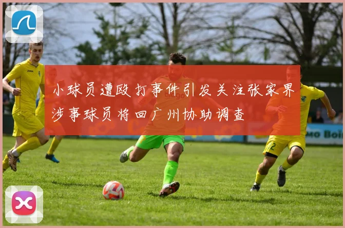 小球员遭殴打事件引发关注张家界涉事球员将回广州协助调查