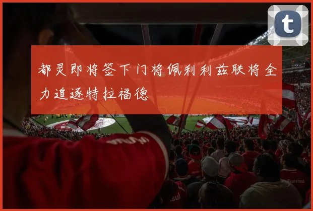 都灵即将签下门将佩利利兹联将全力追逐特拉福德